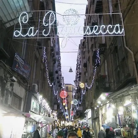 Donna Concetta Arthouse